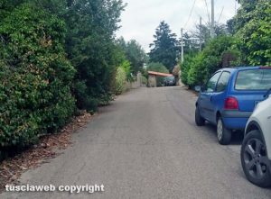 Viterbo - Zona viale Trieste - La zona dove è stato visto il cinghiale