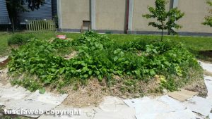 Viterbo - "Il giardino magico" alla scuola d'infanzia S. Pietro