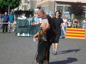 L'Unità cinofila da soccorso Viterbo spegne 5 candeline