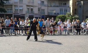 L'Unità cinofila da soccorso Viterbo spegne 5 candeline