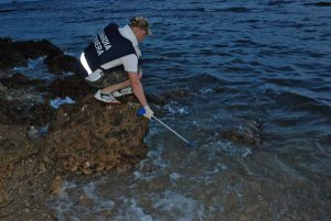 Civitavecchia - Moria di pesci in località la Frasca