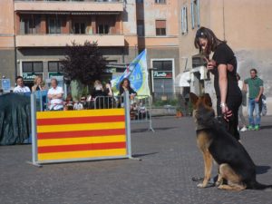 L'Unità cinofila da soccorso Viterbo spegne 5 candeline
