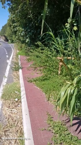 Viterbo - La pista pedonale piena di cespugli