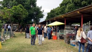 Nuova fiera di Bagnaia