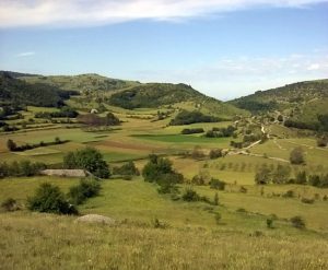Coppa Italia organizzata da Federcaccia 