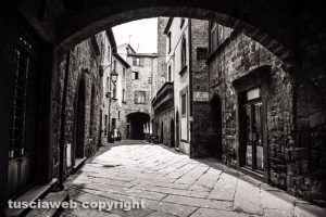 Viterbo - Via San Pellegrino