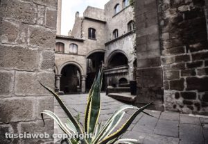 Viterbo - Piazza San Pellegrino