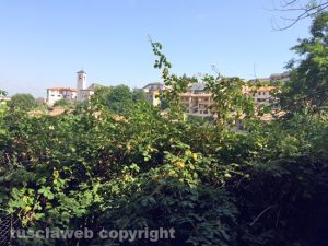 L'acquedotto in via Tullio Cima invaso dalle erbacce