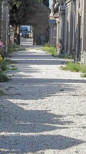 Le erbacce al cimitero di Grotte Santo Stefano 