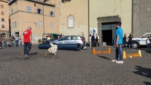 L'Unità cinofila da soccorso Viterbo spegne 5 candeline