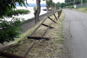 Marta - La palizzata da sistemare