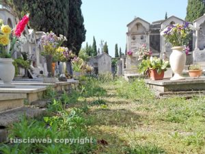 Le erbacce al cimitero di Grotte Santo Stefano
