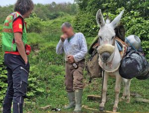 L'uomo e il suo mulo salvati da soccorso alpino e forestale