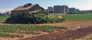 Il casolare abbandonato al Lido