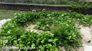 Viterbo - "Il giardino magico" alla scuola d'infanzia S. Pietro