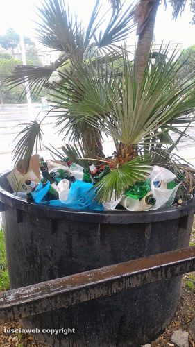 Viterbo - Rifiuti lasciati in un vaso