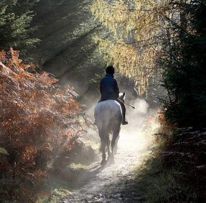 Passeggiata a cavallo 