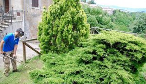 Proceno - Domenica ecologica