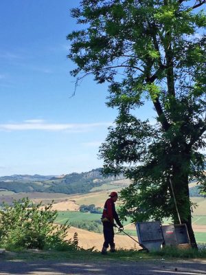 Proceno - Domenica ecologica