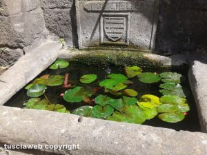 Viterbo - La fontana a palazzo Gatti