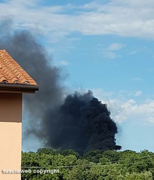 Viterbo - Incendio alla Palanzana