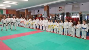 I ragazzi del karate 
