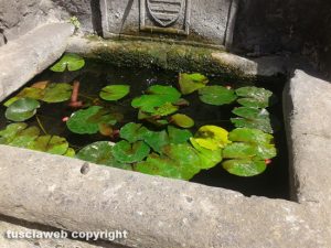 Viterbo - La fontana a palazzo Gatti