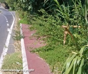 Viterbo - La pista pedonale piena di cespugli