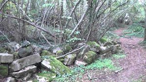 Le rovine di Castro