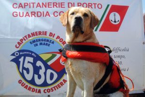 I cani-bagnino della Sics