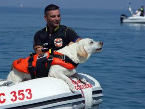 I cani-bagnino della Sics