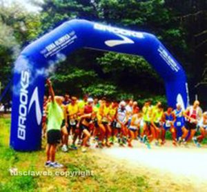 Cross Monte Cimini 