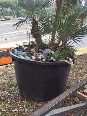Viterbo - Via Santa Maria in Volturno - Bottiglie buttate nel vaso