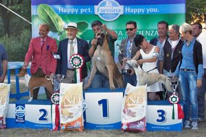 Viterbo - L'esposizione internazionale canina - La premiazione