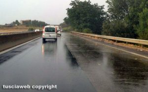 Viterbo - Albero caduto sulla superstrada