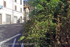 Viterbo - La strada che da Bagnaia porta a Vitorchiano