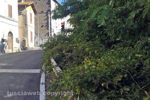 Viterbo - La strada che da Bagnaia porta a Vitorchiano