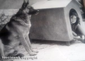 San Martino al Cimino - Il mio amico del cuore - Paola Molinari e Ringo nel 1978