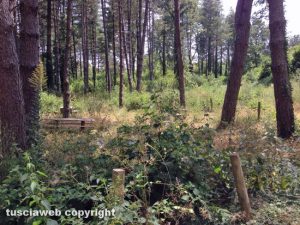 Viterbo - Parco didattico e naturalistico dei Monti Cimini