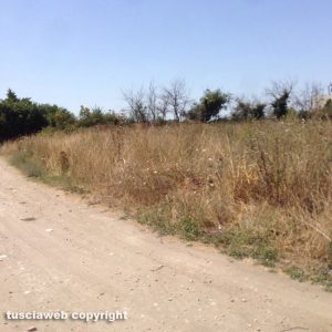 Tuscania - Via Caduti di Nassiriya