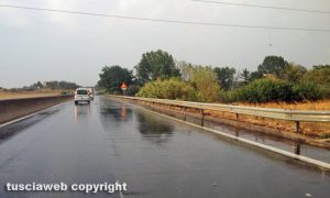 Viterbo - Albero caduto sulla superstrada