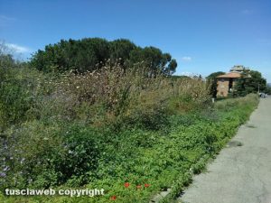 Viterbo - Via della Mazzetta
