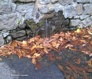Viterbo - Perdita d'acqua in via di Prato Giardino