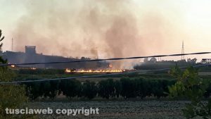 Tarquinia - Incendio lungo la ferrovia Roma - Genova