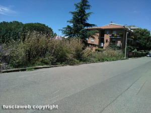 Viterbo - Via della Mazzetta