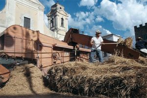 Castiglione in Teverina - Appuntamento con la festa della Trebbiatura