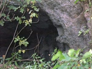 Viterbo - I colombari romani sulla Cassia sud