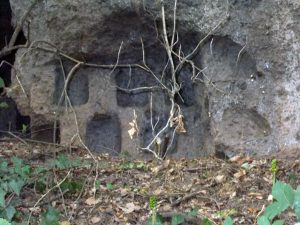 Viterbo - I colombari romani sulla Cassia sud