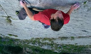 Honnold