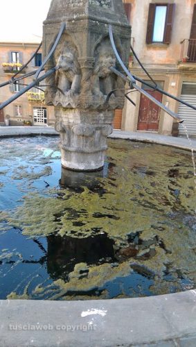 Viterbo - Sporca la Fontana di Pianoscarano 